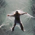 Pułapka subskrypcyjna pod lupą UOKiK. Sprawa InterviewMe na tle światowych precedensów